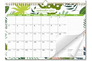 AEYAKA Calendrier 2023-2024 Calendrier Mural, Planificateur Mensuel, 16 Mois Septembre 2023 à Décembre 2024 Aperçu des Vacances, 30 cm x 43 cm Français A (A)