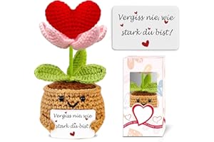 BIGNOSEDEER Geschenke für Frauen Gehäkelte Herz Deko Geburtstagsgeschenk für Frauen Kleines Glücksbringer Beste Freundin Gute Besserung Mutmacher Geschenke Pocket Hug Weihnachten Adventskalender 2025 Füllung