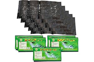 ASQZHULIWING 10 Coussinets de pièges Super Collants 60 * 27,5 cm Piège de Mucus piège à ravageur piège à Souris adapté à l'intérieur et à l'extérieur aux Toilettes Jardin