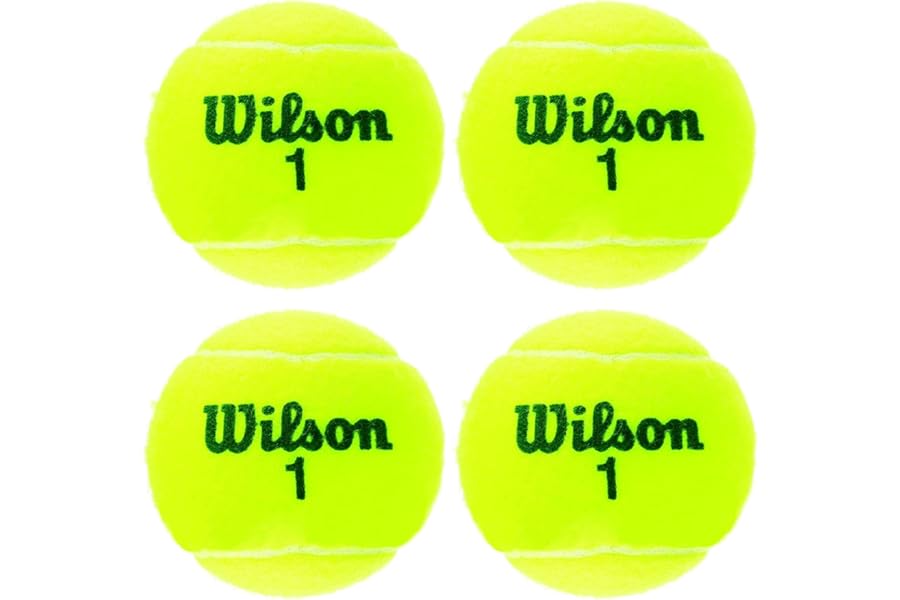 Wilson Champ Extra Duty Tennis Balls