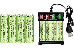 ZYGY 8pcs 1.2V 1800mAh Ni-MH AA Batteries & Chargeur USB pour Microphone sans Fil, Jouets électriques, Souris RC, Calculatrice, Rasoir, Clavier, Appareils ménagers, Lampes solaires
