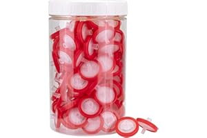 LABFIL 100 Pezzi PTFE Filtri per Siringa Idrofilo, Diametro di 25 mm e Dimensione dei Pori di 0,45um, Filtro per Siringa per Laboratorio Scientifico, Biomedicina