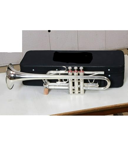 Tromba Tascabile Stagg WS - TR245 In Sib - Acciaio Inossidabile Con Custodia - Foto 5