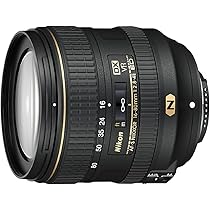 Nikon D500＋NIKKOR 16-80mm f/2.8-4E ED VR Nikon D500 16-80mm VR : Amazon.it: Elettronica