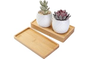 TsunNee 3 szt. taca bambusowa, prostokątny spodek, doniczka na kwiaty na sukulenty, drewniana taca do serwowania, podkładka pod kubek, uchwyt na papier