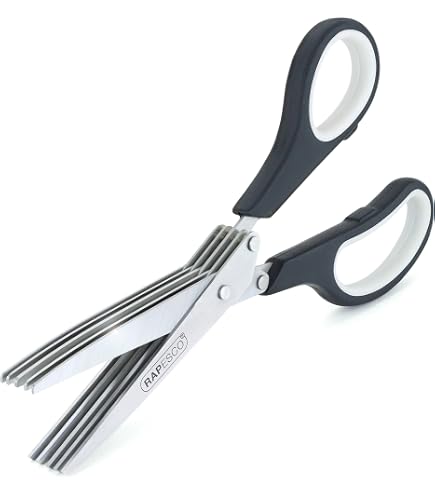 Ciseaux Multi-Lames Pour Herbes Aromatiques Fackelmann - 5 Lames Acier Inoxydable 19,5 Cm