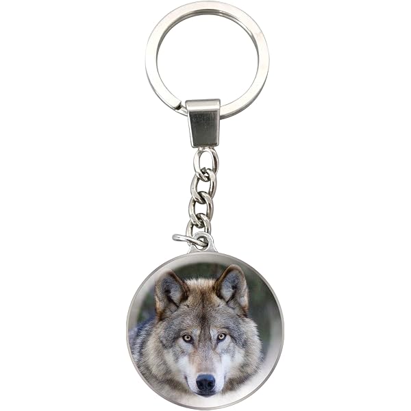 Deluxebase Magnidome - Portachiavi a forma di cupola, con catena in acciaio inox, con cupola in vetro di cristallo, Capibara, 4.5cm x 4.5cm x 1.7cm