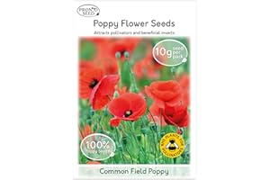 Pronto Seed Field Poppy Wildflower Seeds UK - Hardy Perennial Remembrance Flower for Gardens & Borders - Easy-Grow Flower Seeds That Return Yearly - Attracts Bees & Pollinators (Field Poppy, 10g)