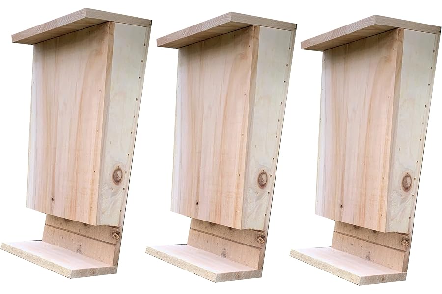 Selections Wooden Bat Box House for Roosting with Landing Perch and Grooved Interior - Pack of 3
