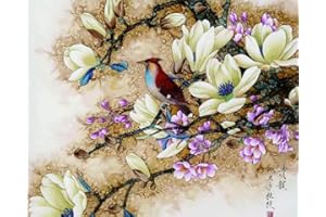 ABEUTY DIY Paint by Numbers for Adults Beginner - White Flowers & Birds 40,6 x 50,8 cm, Number Painting Anti Stress Toys (marco de madera de bosque)