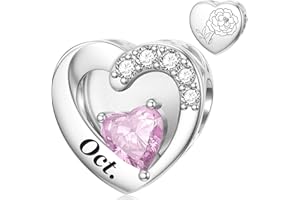 SEVENWELL Geburtsstein Charm für Pandora Charm 925 Sterling Silber Monat Blume Geburtstag Bead Charm