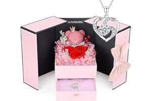 ELEUTH Rosa Eterna con Oso de Musgo,Rosa Eterna Natural Preservada con Collar Regalos Originales para Mujer Mama Novia Caja Regalo San Valentin,Dia de la Madre,Aniversario,Cumpleaños,Navidad