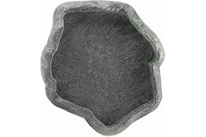 Ejoyous reptiler vattenbricka ABS Resin Durable Repti Rock Feeder vatten och matskål för sköldpadda och ödla – robust fodersk