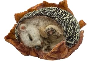 G&H Decor Adornos de jardín de animales – Estatua realista de erizo durmiendo de 14 cm – Escultura pintada a mano – Detalle intrincado para uso en interiores o exteriores – Resistente a la intemperie