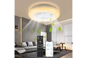 Hebitod 80W Ventilador de Techo LED con Luz y Mando a Distancia, con Iluminación, 6 Velocidades de Viento, Temperatura de Color Ajustable, Temporizador, Modo Verano Invierno, Salón Dormitorio