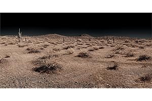 MIRRORANG 61x41cm Terrario Sfondo Notte Cactus Gobi Deserto Rettile Habitat Sfondo Vinile Sfondo