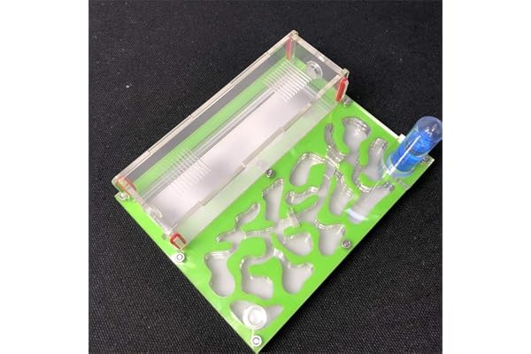 Formicarium Naturelle pour Ferme à Fourmis pour Tube à essai de Fourmis Live Humidité Grand Espace Nid de Fourmis en Acrylique, Fourmilière Insectes (Vert)