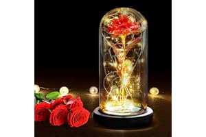 RANJIMA Rosa Eterna Día de la Madre, Rosa la Bella y la Bestia, Rosa Eterna Elegante Cúpula de Cristal con Luces LED,Regalo Originales para Mujer Mama Día de la Madre,Regalo para Aniversario Cumpleaño