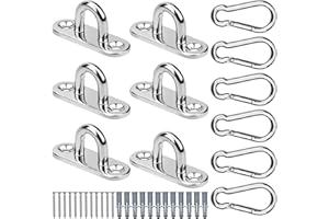 TDDL Zestaw - Juego de 6 Ganchos de Acero Inoxidable para Techo con mosquetón