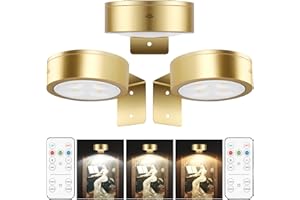 TINTINDOC 3pcsLumière Murale Peinture Lumière avec 3 couleurs d'éclairage,Lumière d'image de batterie avec télécommande, Lumière de peinture murale magnétique pour affichage d'art,Dimmable Led Accent