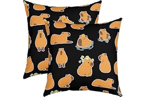 Loussiesd Capybara kuddöverdrag 40 x 40 cm set med 2 mjuka tecknade djur dekorativa kuddöverdrag för soffa Kawaii capybara ku
