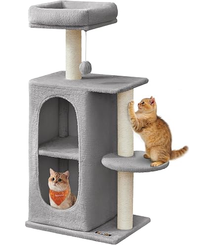 Lit Pour Chat,Tunnel Pour Chat Avec Tapis, Lit Grotte Pour Chat Avec 2 Boules À Gratter