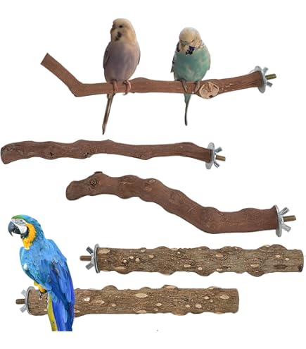 Vogel Sitzstangen Naturholz - U-förmige Stangen Für Käfig & Krallenpflege
