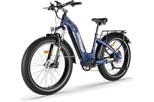 ‎HANEVEAR HANEVEAR Elektrofahrrad für Erwachsene, 21Ah 48V austauschbarer Akku, 250W 85Nm E Fatbike, Max. Reichweite 120km+, Doppelte Ölbremsen, E-Mountainbike 26x4.0'' Offroad EBIKE