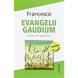 Evangelii gaudium. Esortazione apostolica