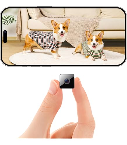 Mini Telecamera Nascosta Ansice 540TVL Con Lente Grandangolare 3.6mm | CCTV Da Interno Senza IR