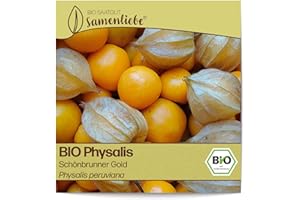 Samenliebe BIO Physalis Samen Schönbrunner Gold 10 Samen samenfestes Gemüse Saatgut für Garten Freiland und Balkon BIO Gemüsesamen