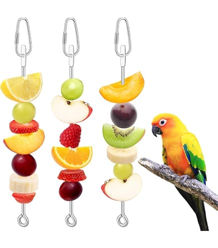 4 Forchette In Acciaio Inox Per Frutta E Verdura - Accessorio Per Gabbie Uccelli, Pappagalli E Volatili