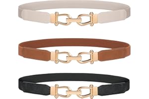 LEACOOLKEY Women Skinny Elastic Belt for Dresses,Thin Retro stretch Waist Belt with Golden Buckle