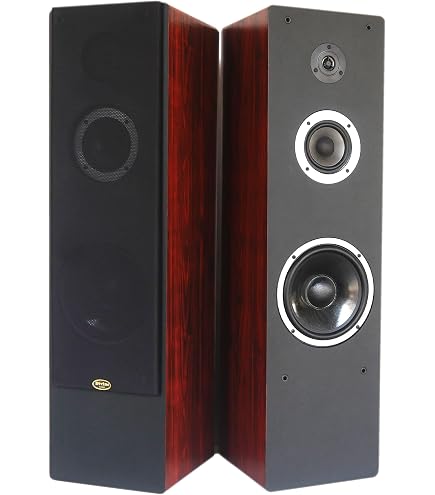 SpeakerCraft OE5 One Outdoor Speaker - Each (Black) : Amazon.in