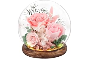 ‎FAYODO FAYODO Ewige Rose im Glas mit Licht, Konservierte Blumen als Geschenke für Frauen Mama Oma Freundin zum Muttertag Geburtstag Weihnachten Jahrestag Valentinstag Erntedankfest-Rosa