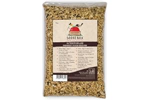 Parakeet Food 1kg - Seed & Nut Feed Mix For Parakeets - Seedzbox Parakeet Food - Complete Foodstuff Specifically For Parakeets - Donation to OneTreePlanted