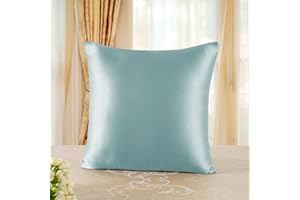 townssilk Doble Cara 100% 19 mm Funda de Almohada de Seda Pura de moras para la Salud del Cabello y la Piel Funda, de Almohada con Cremallera Oculta, 1 Pieza 1 Pezzo, 40x40cm, Aquagreen