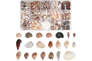 PH PandaHall 466pz Conchiglie Decorative Piccole Conchiglie di Mare Naturali, 15 Stile Mini Conchiglie per Resina Perline Non Forate per Resina Artigianato Fai Da Te Riempitivi di Vasi