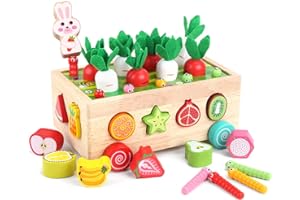 KMTJT Toddlers Montessori Wooden Educational Toys for Boys Girls Age 2 3 4 Year Old, Preschool Learning Fine Motor Skills Game, Wood Shape Sorting Toys Birthday Gifts for Kids