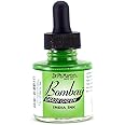 Dr. Ph. Martin's Bombay India Ink (12BY) Ink Bottle