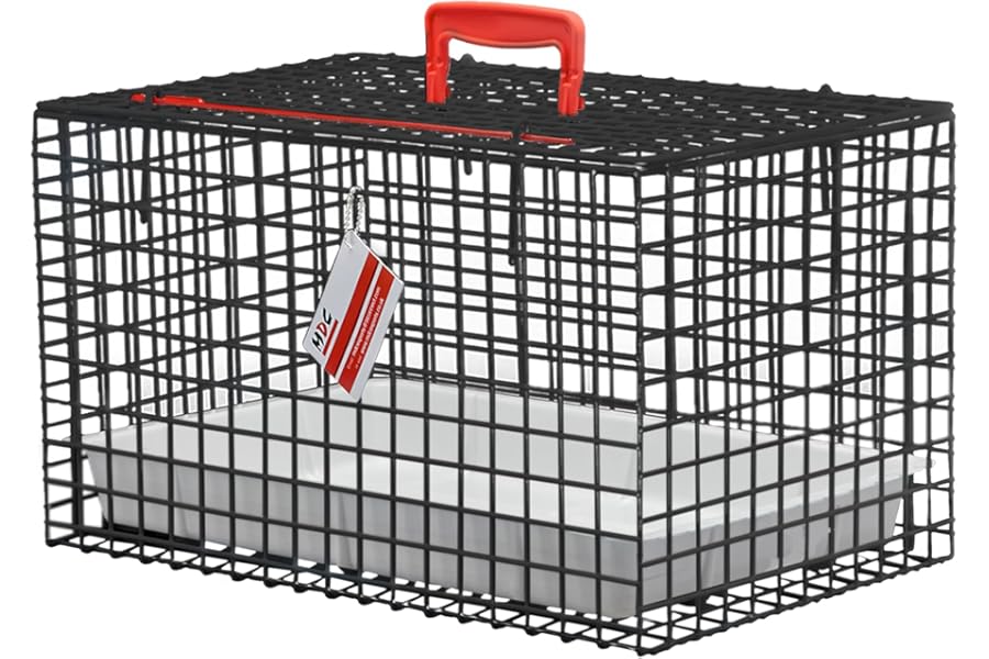MDC Cat Carrier with Top Opening – Lightweight Mesh Pet Travel Crate for Vet Visits, Cats & Kittens – Breathable, Easy Clean Cat Basket with Handle – Secure & Spacious Cat Crate for Travel, Black