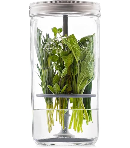 Kräuteraufbewahrungsbehälter Für Kühlschrank ? Produktbild-Vorschau 4
