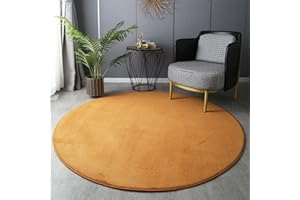 GIBZ Tappeti Rotondo Velluto Corallo Morbido Solido Tappetino Lavabile Bambini Memory Foam per Salotto Camera da Letto, Cachi, 80×80cm