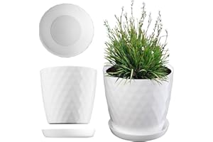 KADAX Maceta para Flores, Maceta con Base, Maceta de plástico para Interior, Macetero Redondo, Maceta Decorativa, Maceta Moderna Interior, 14 cm, Blanco