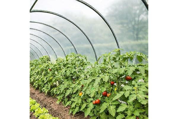 TECPLAST Bâche Serre 6x4 m 200SE - Film Plastique Transparent pour Serre de Jardin - Haute Performance - Made in France