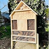 Insectenhotel kopen? Dit zijn de beste insectenhotels van 2025