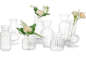 GLASSEAM Jarrones De Vidrio para Flores Jarrón Pequeño para Decoración De Mesa, 8 Piezas Juego De Jarrones Modernos De Cuello Estrecho para Decoración De Sala De Estar, Centros De Mesa para Bodas, Dormitorio