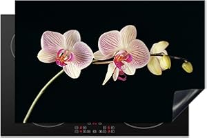 MUCHOWOW Protège-plaque à induction - Plaque Protection Vitrocéramique Induction - Vinyl - Orchidée - Fleurs - Noir - Rose - Boutons - 80x52 cm - Couvre Plaque de Cuisson - Accessoires de Cuisine