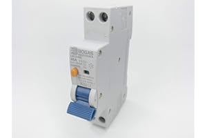 BOGAS ELECTRONICS Interruptor diferencial superinmunizado SI, 30 mA, 2P, 40 A, Clase A y 10kA.