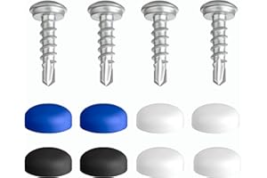 L & P CAR DESIGN Lot de 4 vis de plaque d'immatriculation avec pointe de perçage et capuchons - 5 x 19 mm - Vis de fixation avec capuchons - Discrètes - Sûres - Légales